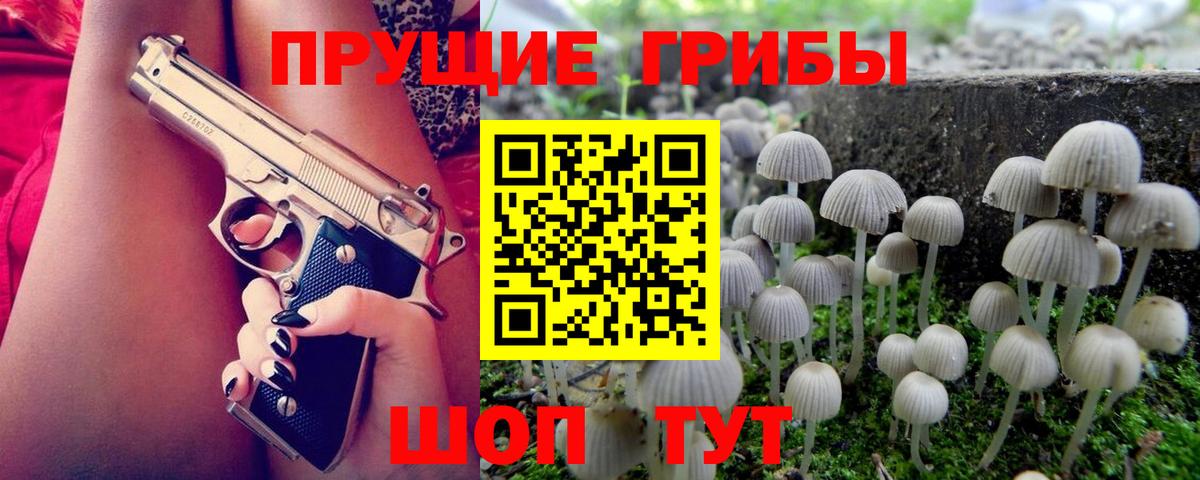 как найти закладки  Галлюциногенные грибы MAGIC MUSHROOMS  Галлюциногенные грибы GOLDEN TEACHER  Вход с VPN  Удомля 